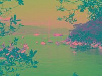 IMGP2620 edited (Medium)